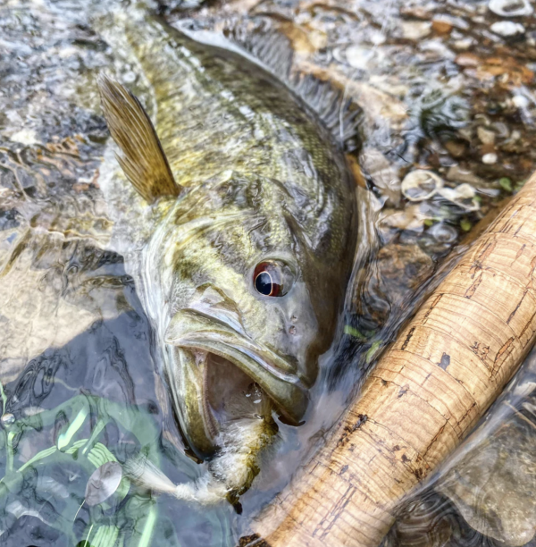 Flymen Chocklett Mini Finesse Changer Fly Action Flymen Chocklett Mini Finesse Changer Fly Action